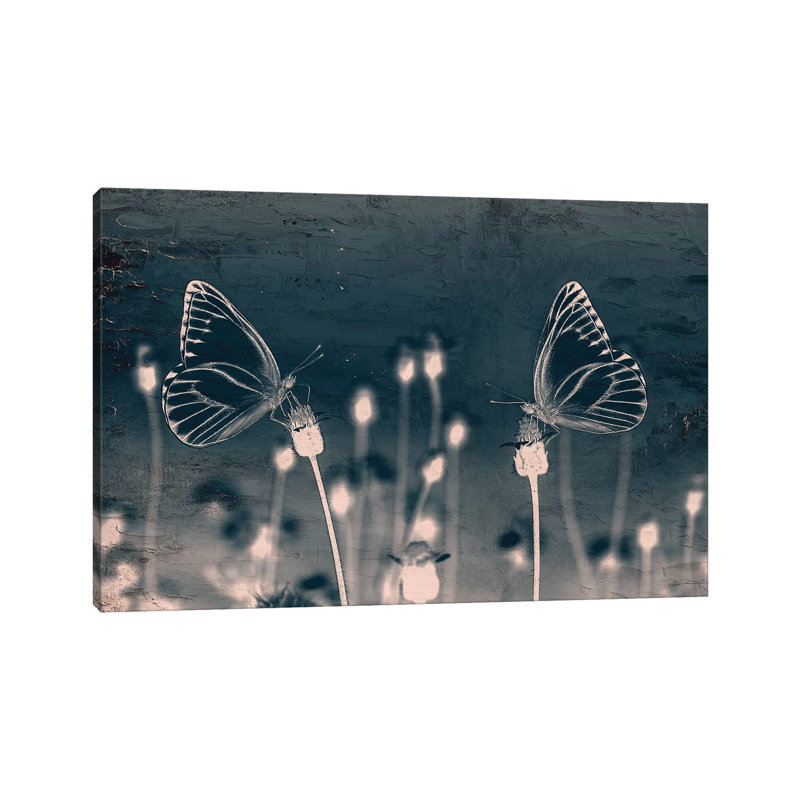 Butterfly Love by Kimberly Allen - Wrapped Canvas Print, 20.32 cm H x 30.48 cm W