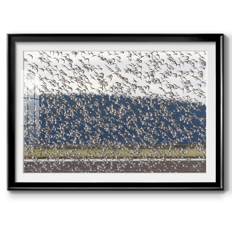 «The More the Merrier», impression encadrée avec biseau mat et verre, H 27 po x l 39 po x P 1,5 po, Noir