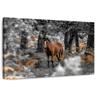 Brampt Horse Trails I