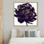 Pivoine noire - Impression sur toile-80844204-80844222