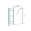 PL Series Recessed or Surface Mount Frameless 1 Door Medicine Cabinet with 3 Adjustable Shelves-107197752-102186589-102186586