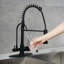 Robinet de cuisine 3 en 1 avec filtre à eau et eau de source-103048995