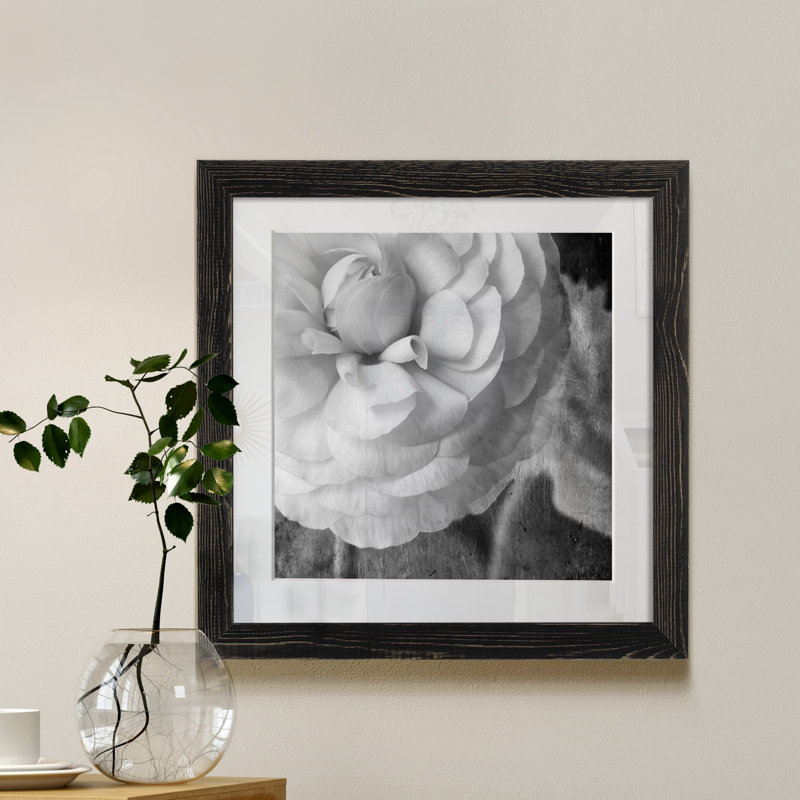 Renoncule foncé II - cadre photo, H 17 po x l 17 po x P 1,5 po, Papier encadré noir, Blanc