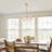 Kaan 5-Light Dimmable Metal and Glass Drum Chandelier -814634531-814634530