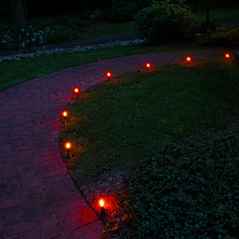Éclairage de sentier électrique avec 10 ampoules, Orange