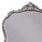 Antique Platinum Finish Mirror