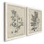 «Antique Black and White Botanical IV», ensemble de 2 reproductions d'art sur toile-1516307831-1516307828