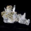 Cristal Ceceilia