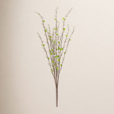 Willow Stems