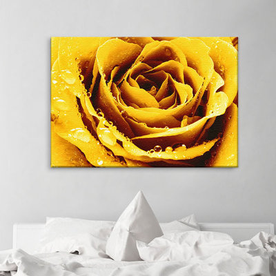 Print on Canvas