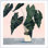 «Houseplant II» par Victoria Borges - peinture encadrée
