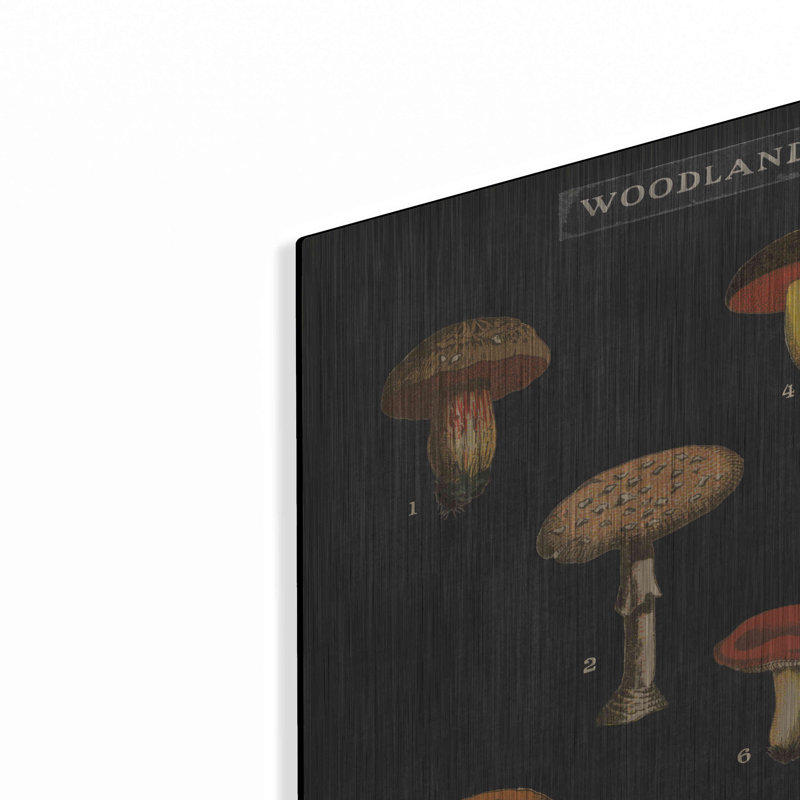 «Mushroom charte I» par Wild Apple Po, H 24 po x l 36 po