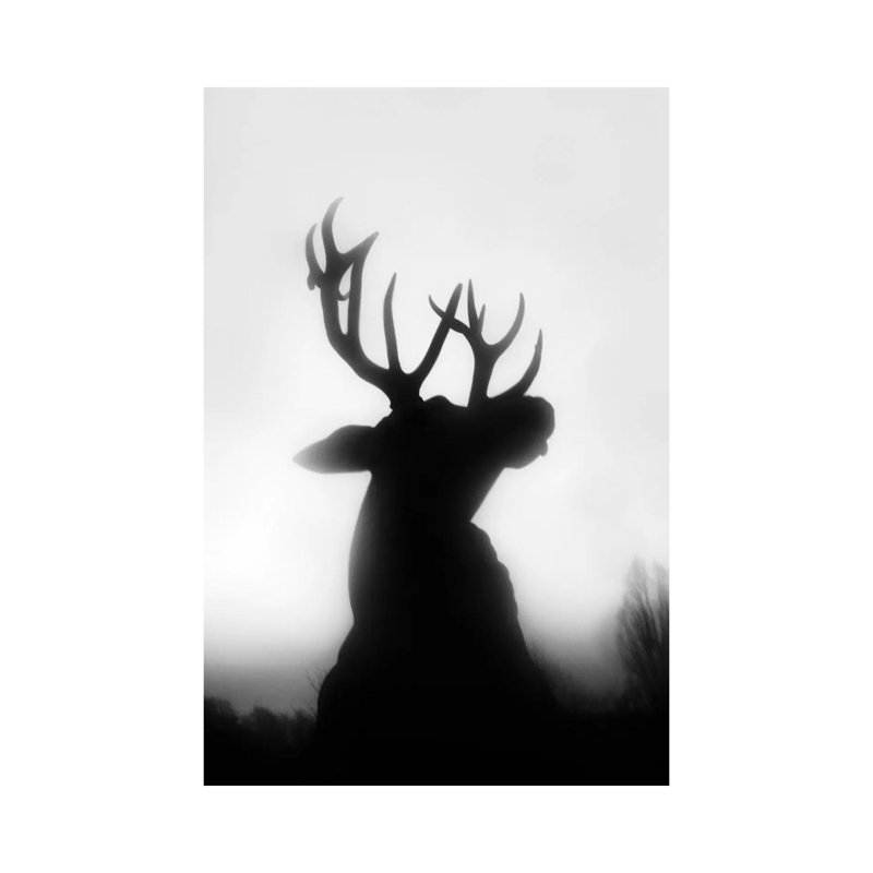 Roar 1 Piece Wall Art on Canvas, 30.48 cm H x 45.72 cm W, Wrapped Canvas