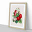 Wild Strawberry Illustration - Framed Print-55612419-55612424