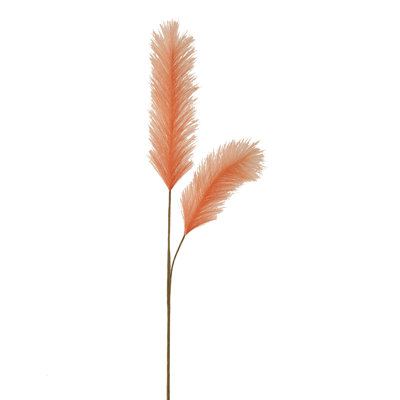 Bristle Grass Arrangement