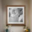 Renoncule foncé IV - cadre photo-1179620642-1179599675-1179599684