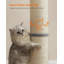 Scratching Post