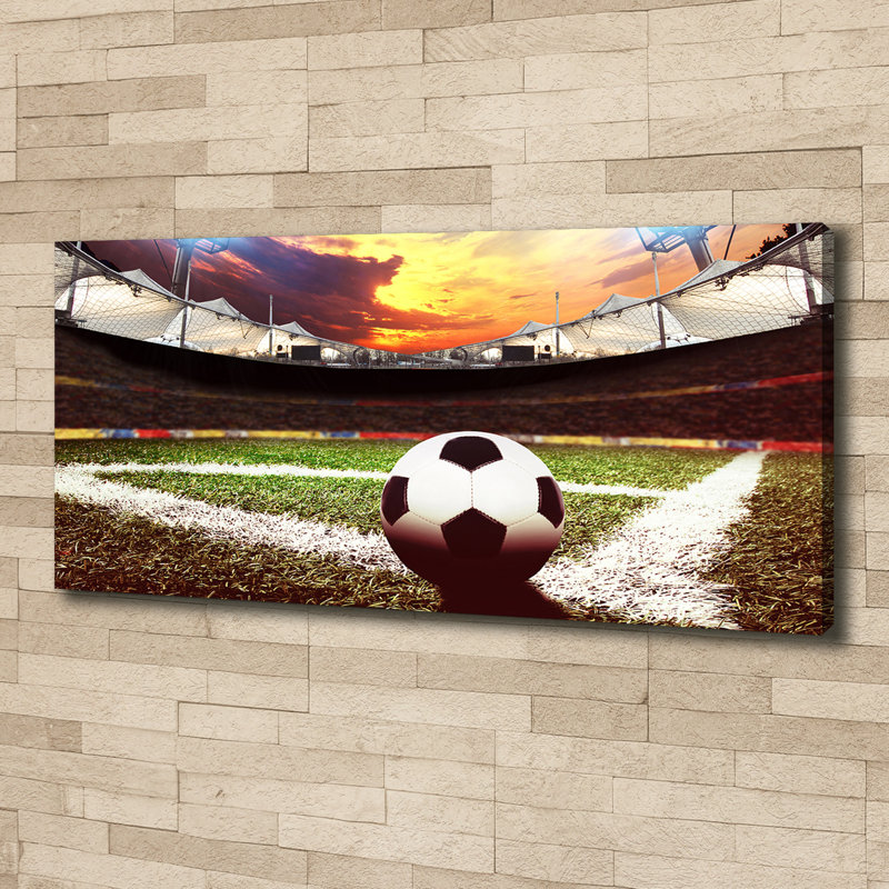 Ball In The Stadium - No Frame Print on Canvas