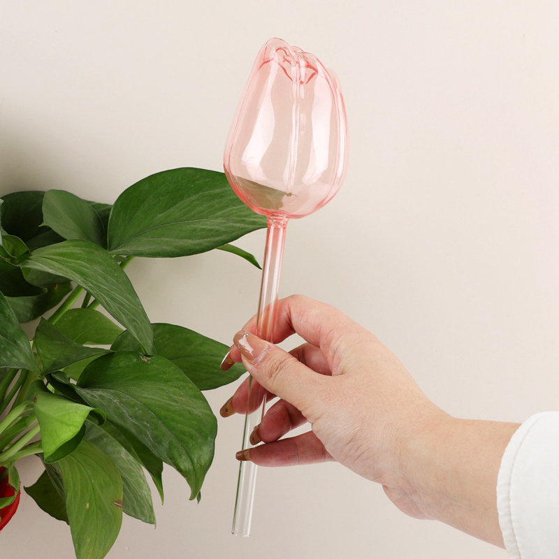 Ensemble de 4 ampoules en plastique pour arroser les plantes, tulipes roses pour arroser les plantes