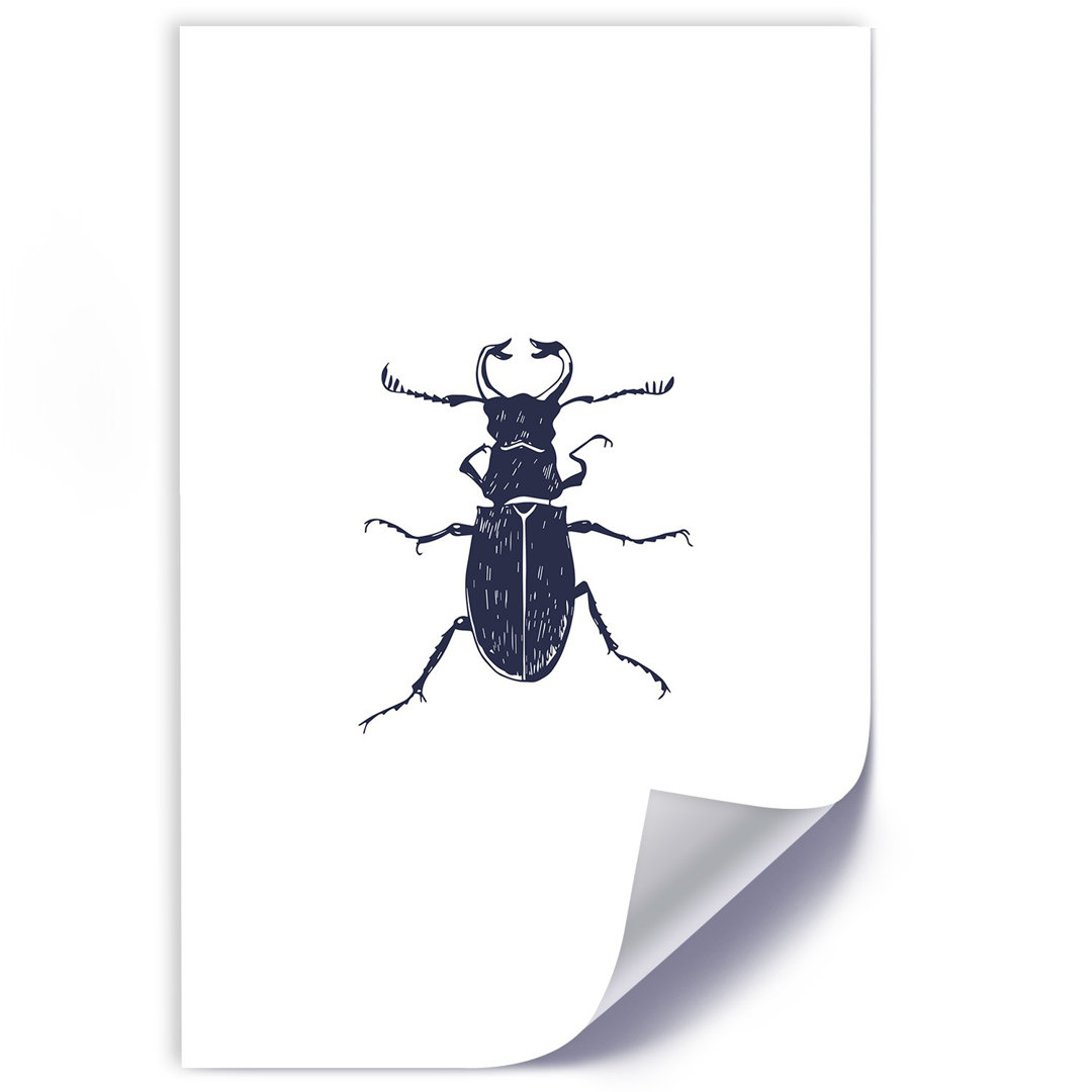 Grafikdruck Black Beetle