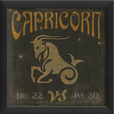 Zodiac Single Picture Frame Graphic Art