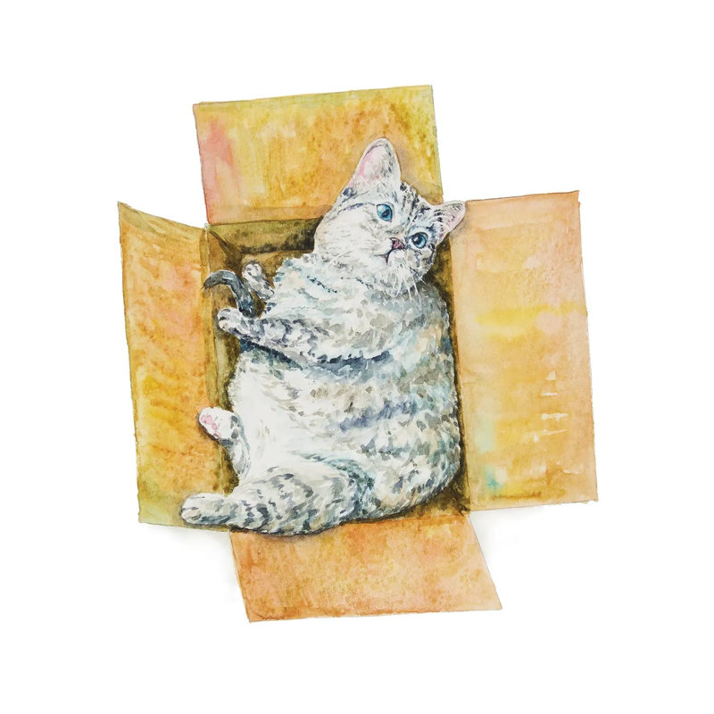 Fat Cat In The Box by Alexey Dmitrievich Shmyrov - Wrapped Canvas Print, 30.48 cm H x 30.48 cm W