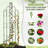 Serafina 71" H x 21" W Trellis