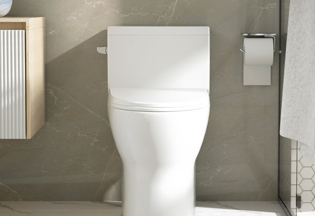 Must-Have Comfort-Height Toilets