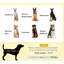 Lit pour animal de compagnie, lit pour chien portatif surélevé-1071851480