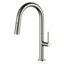 Pull Down Single Handle Kitchen Faucet with Accessories