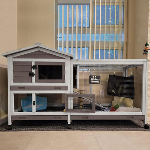 Weather Resistant Small Animal Hutch