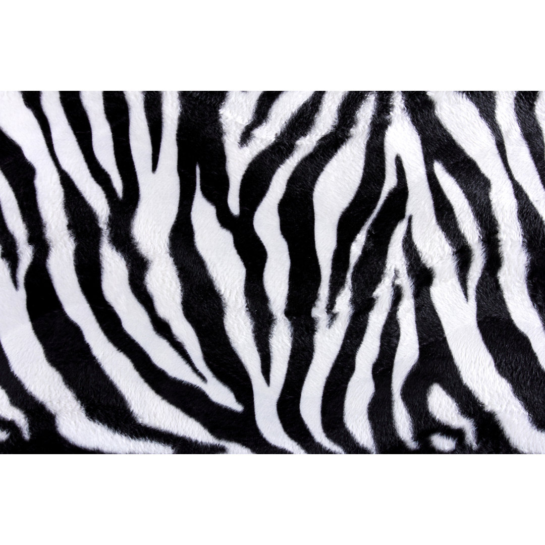 Zebra Skin Pattern - Kunstdrucke auf Leinwand - Wrapped Canvas