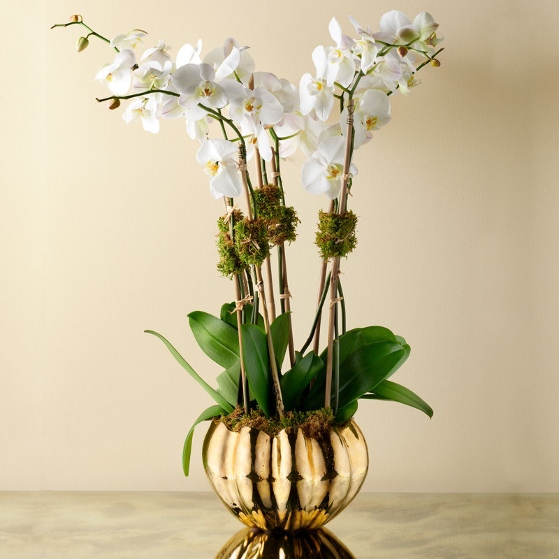 Mirabelle Ceramic Table Vase, Gold