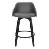 Aiken Swivel Counter or Bar Height Bar Stool with Arms in Faux Leather, Plywood and Metal Footrest