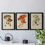 Champignon Variétés VI, reproduction encadrée de qualité supérieure, prête à être accrochée-898072089-898072088-898086849