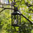 10.25'' Battery Powered Outdoor Lantern