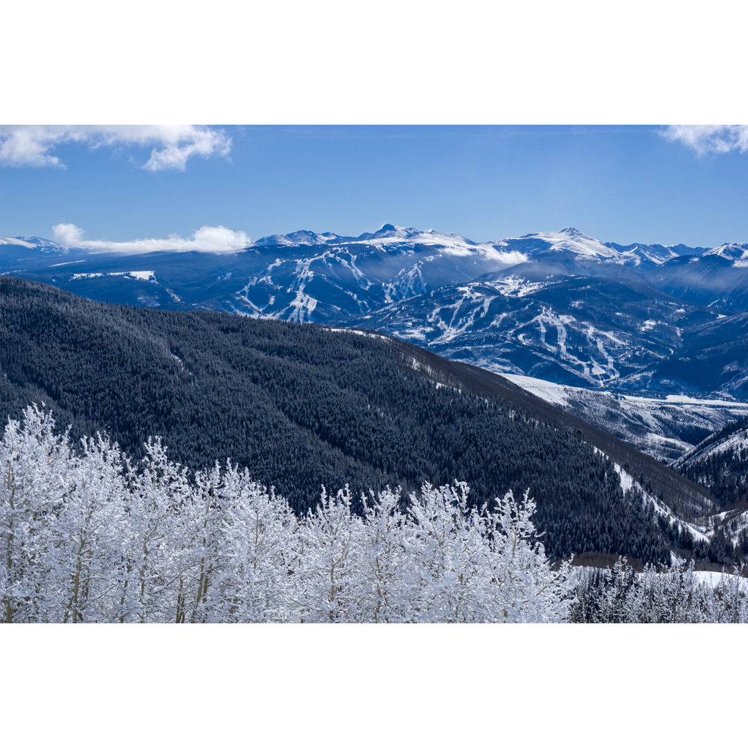 Beaver Creek von Adventure_Photo - Drucken