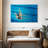 Sireci Synchronized Swimmers-108126906