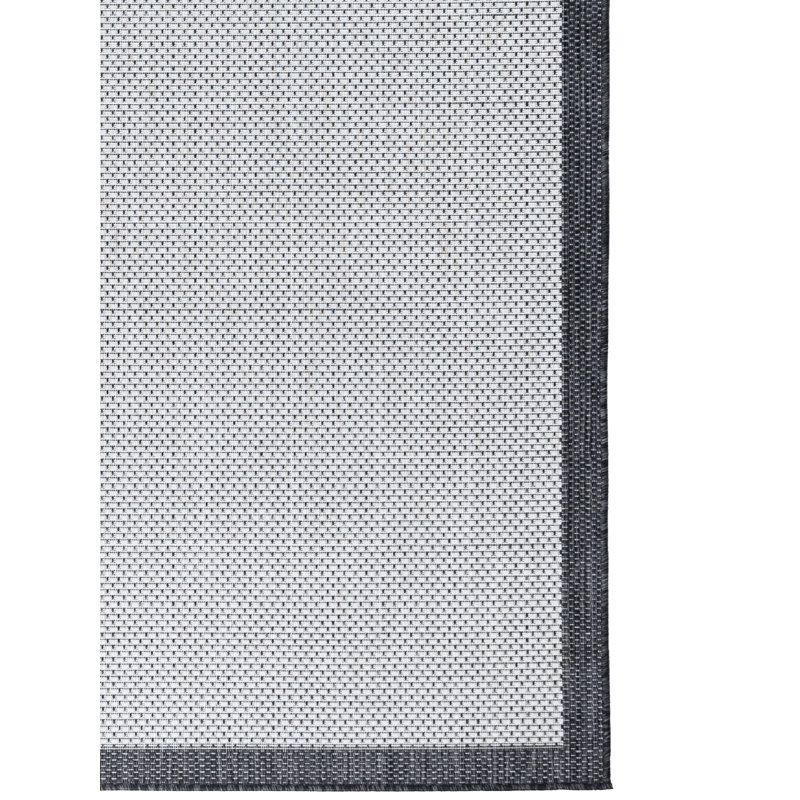 Renarta Indoor / Outdoor Area Rug, Runner 2'7" x 6'6"
