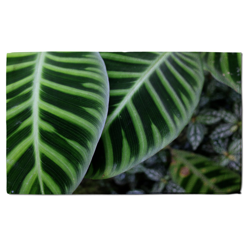 Doralene Midweight Bath Towel