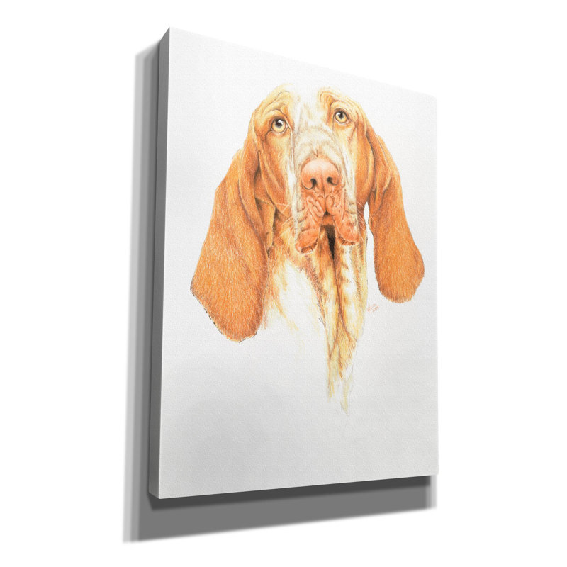 'Braceo' by Barbara Keith, Canvas Wall Art, 54" H x 40" W x 1.5" D