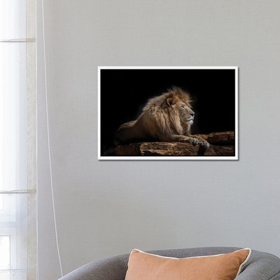 Lazarus 1 Piece Wall Art on Canvas