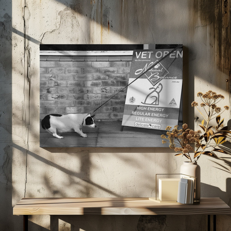1 Piece Wrapped Canvas Wall Art, 50.8 cm H x 76.2 cm W