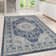 Mcgriff Oriental Cotton Hand Woven Area Rug