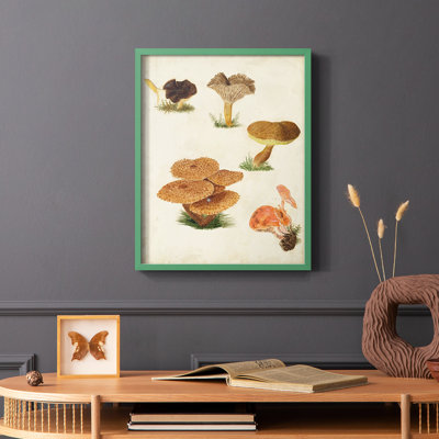 Reproduction encadrée de champignon V - Bois massif