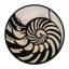 Nautilus 10 - Light Flush Mount
