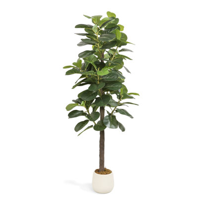 63 Inch Artificial Fiddle Leaf Fig Tree with Free White PP Planter - Faux Plant with Fake Moss for Indoor, Office & Living Room Décor