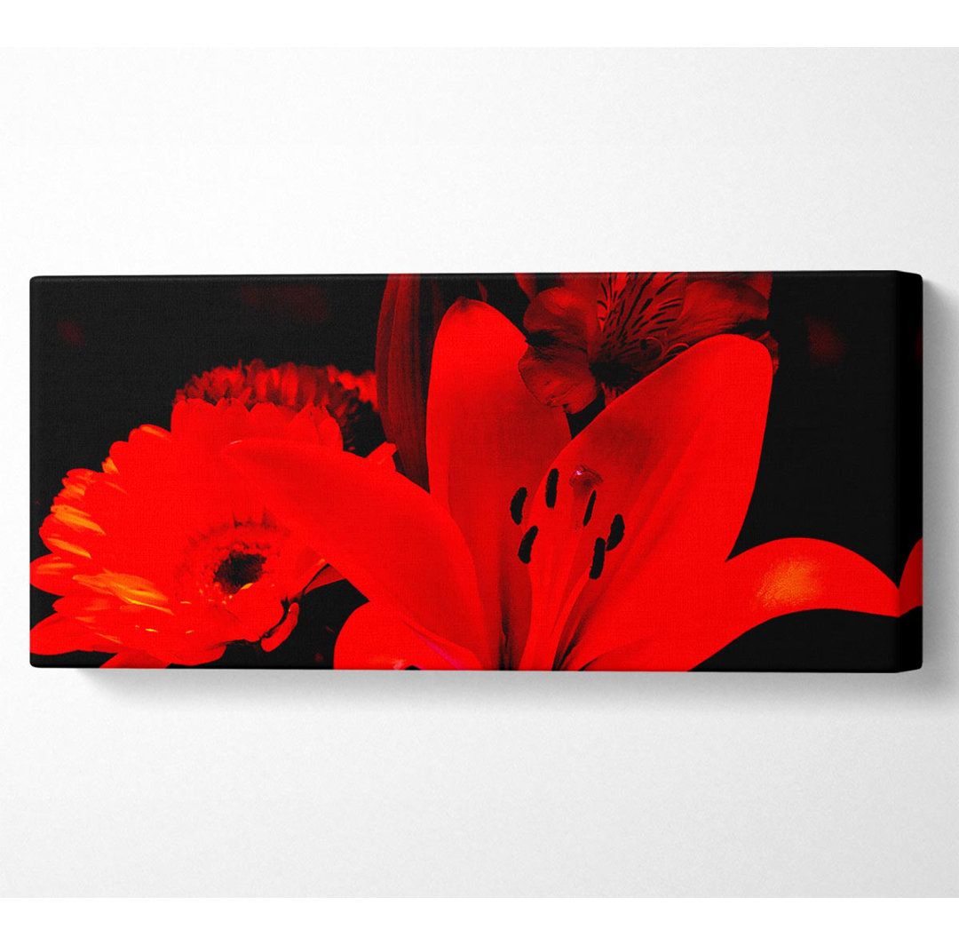 Infra Red Bloom - Kunstdrucke auf Leinwand