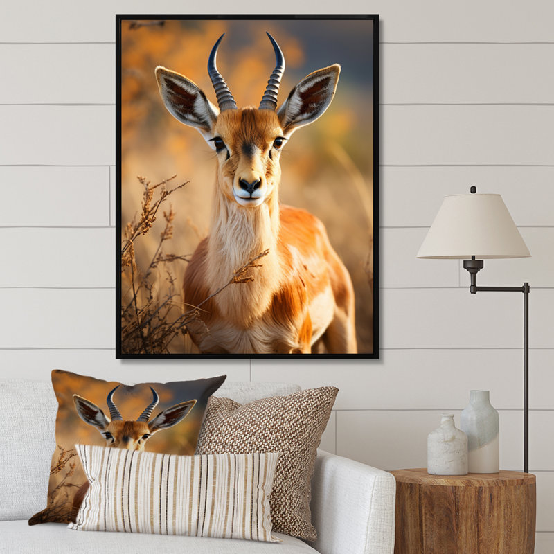 Antilope Kendon, photo I - impression, H 32 po x l 16 po x P 1 po, Cadre flottant noir
