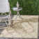 Arneshia Geometric/Grey Outdoor Area Rug